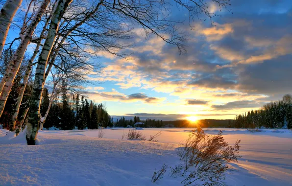 Картинка зима, лес, солнце, лучи, снег, деревья, пейзаж, закат, природа, Канада, берёзы, Квебек
