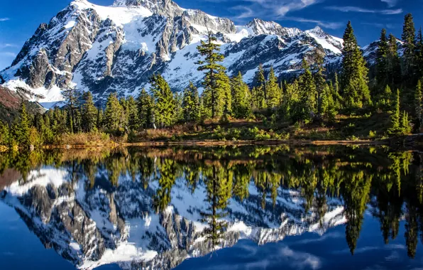 Картинка лес, деревья, горы, озеро, отражение, Гора Шуксан, Каскадные горы, Washington State, Cascade Range, Picture Lake, …