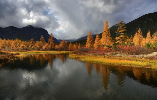 Картинка осень, облака, деревья, пейзаж, горы, природа, озеро, отражение, Колыма, Максим Евдокимов