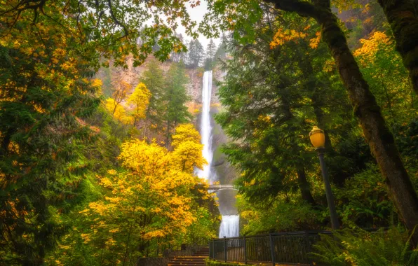 Картинка осень, деревья, водопад, Орегон, фонарь, Oregon, Columbia River Gorge, Multnomah Falls, Ущелье реки Колумбия, Водопад …