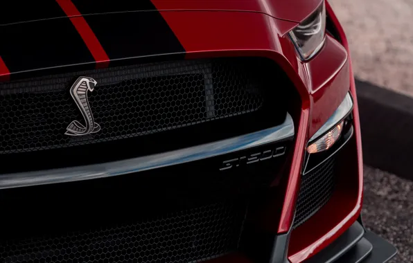 Картинка Mustang, Ford, Shelby, GT500, эмблема, кровавый, 2019
