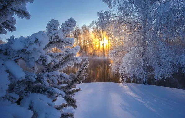 Картинка зима, иней, снег, деревья, закат, река, ель, Россия, Алтай, Андрей Базанов