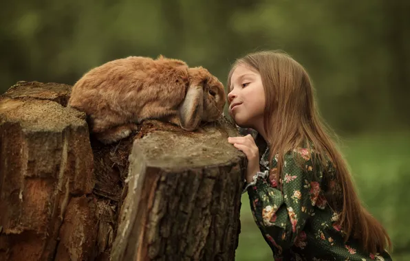 Картинка животное, пень, кролик, девочка, ребёнок, Юлия Кубар