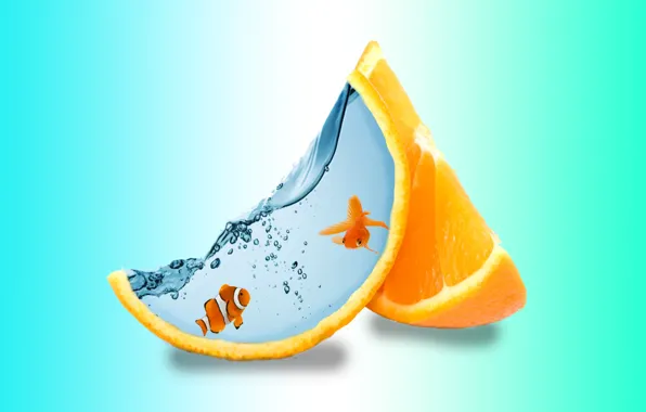 Картинка вода, water, дольки апельсина, creative art, two fish, креативный арт, две рыбки, orange slices, light …