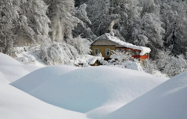 Картинка зима, снег, деревья, природа, дом, сугробы
