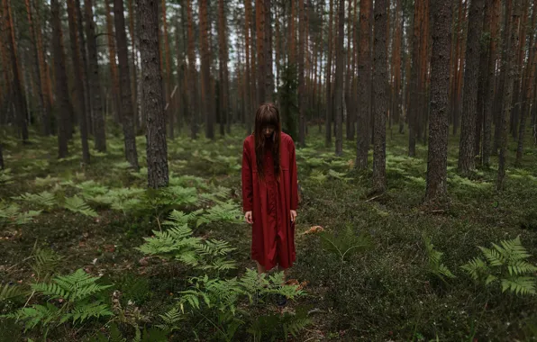 Картинка девушка, в лесу, Aleks Five
