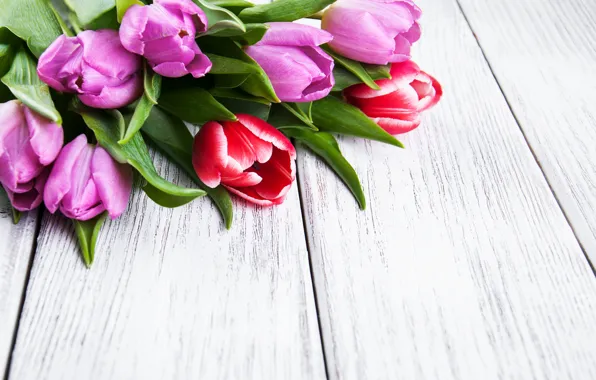 Картинка цветы, букет, colorful, тюльпаны, wood, flowers, tulips, spring, purple