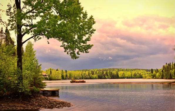 Картинка лес, деревья, пейзаж, закат, природа, озеро, камни, берег, Канада, Квебек