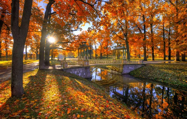 Картинка осень, солнце, деревья, мост, парк, листва, канал, Гордеев Эдуард