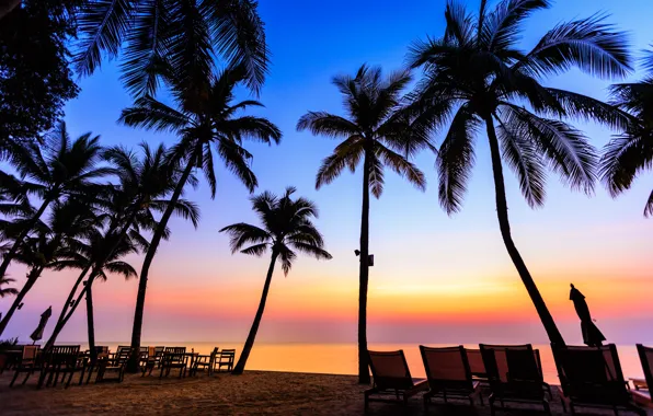 Картинка море, пляж, лето, закат, пальмы, берег, силуэт, summer, beach, sea, sunset, seascape, beautiful, paradise, palms, …