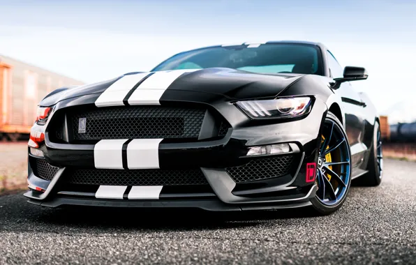 Картинка Mustang, Ford, Shelby, GT350, Ford Mustang Shelby GT350