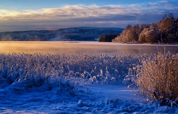 Картинка зима, снег, горы, река, камыш, Швеция, Sweden, Река Онгерманэльвен, Angerman River, Клокестранд, Klockestrand