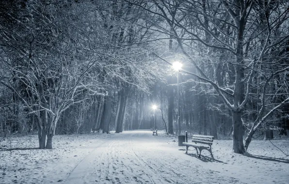 Картинка зима, снег, деревья, пейзаж, скамейка, огни, парк, фонари, trees, landscape, night, park, winter, snow, bench