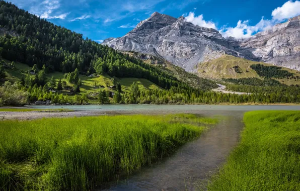 Картинка трава, горы, озеро, Швейцария, Switzerland, Bernese Alps, Бернские Альпы, Озеро Дерборанс, Derborence Lake