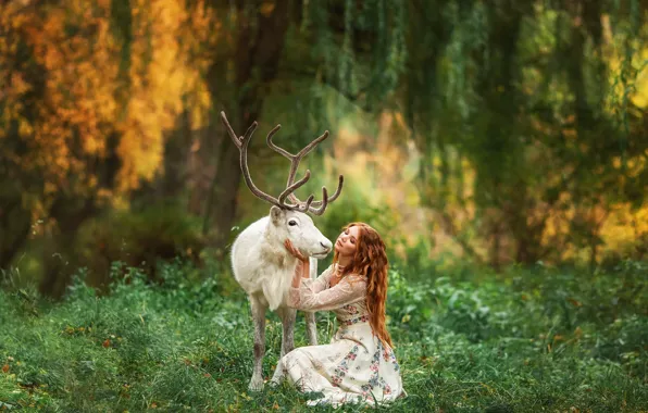 Картинка лес, девушка, природа, животное, олень, рыжая, Анастасия Бармина