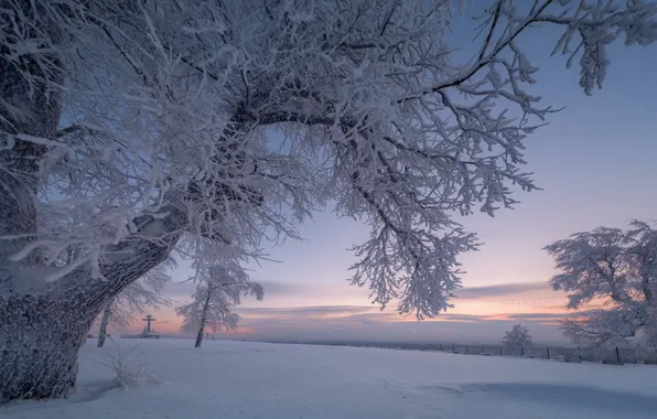 Картинка зима, снег, деревья, ветки, рассвет, крест, утро, Россия, Пермский край, Белая гора
