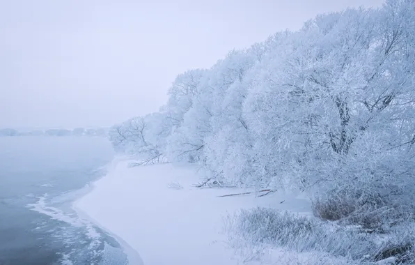 Картинка снег, деревья, озеро, берег, Сергей Полетаев, Sergei Poletaev