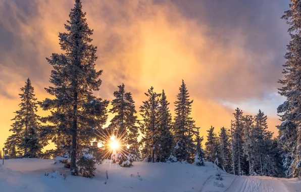 Картинка зима, дорога, лес, небо, солнце, снег