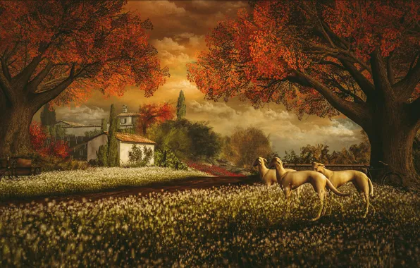 Картинка осень, собаки, небо, облака, пейзаж, закат, цветы, природа, велосипед, уют, дом, парк, рендеринг, настроение, ветви, …