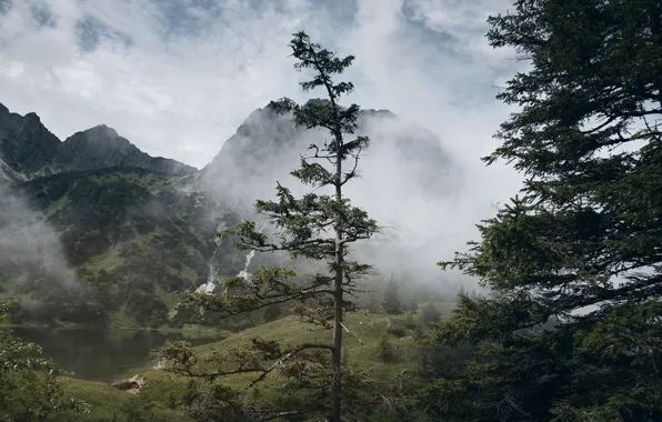 Картинка небо, облака, деревья, горы, природа, туман, озеро, скалы