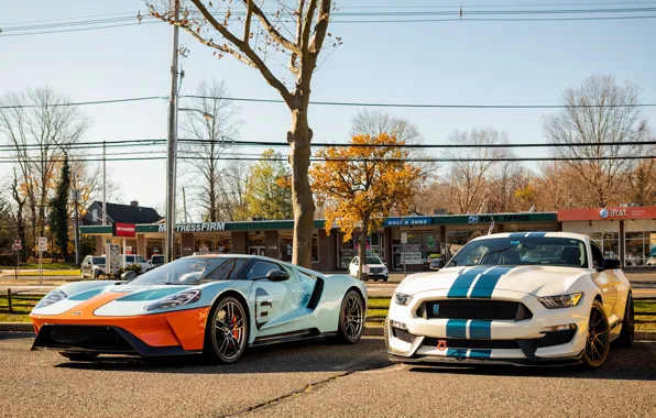 Картинка Ford, Shelby, GT, Mustang GT350