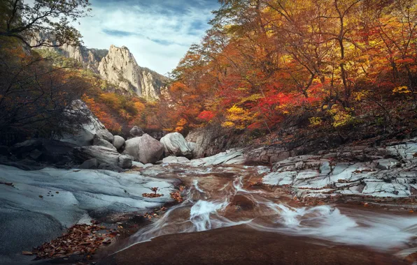 Картинка South Korea, autumn, River, Seoraksan national park