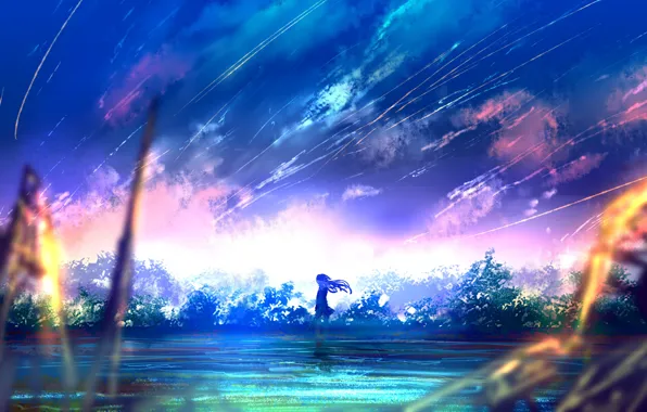 Картинка девушка, деревья, закат, природа, аниме, арт, goroku