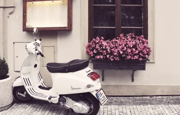 Картинка цветы, улица, окно, мотоцикл, мостовая, скутер, Vespa