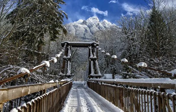 Картинка зима, снег, пейзаж, мост, природа, красота