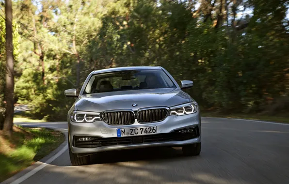 Картинка дорога, деревья, серый, BMW, седан, вид спереди, гибрид, 5er, четырёхдверный, 2017, 5-series, G30, 530e iPerformance