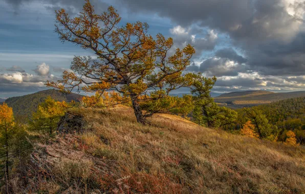 Картинка осень, облака, деревья, пейзаж, природа, холмы, склон, Александр Макеев