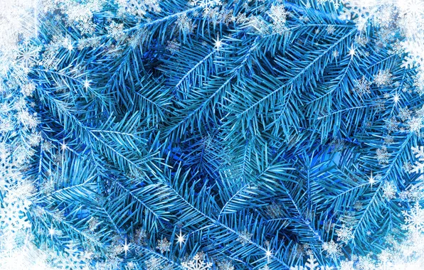 Картинка снежинки, фон, white, blue, winter, background, snow, snowflakes, frame, frost, fir tree, голубая ель, ветки …