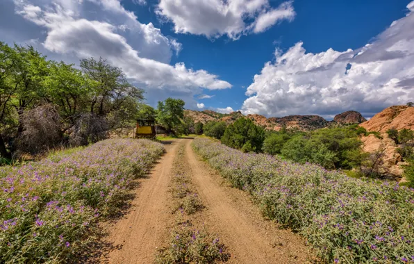 Картинка дорога, Аризона, США, Prescott Valley
