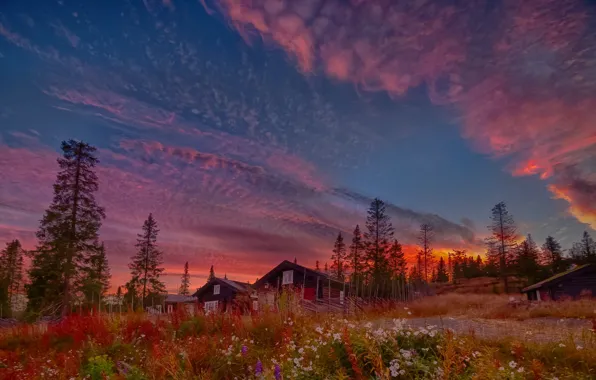 Картинка осень, деревья, пейзаж, природа, рассвет, дома, утро, травы, Jørn Allan Pedersen