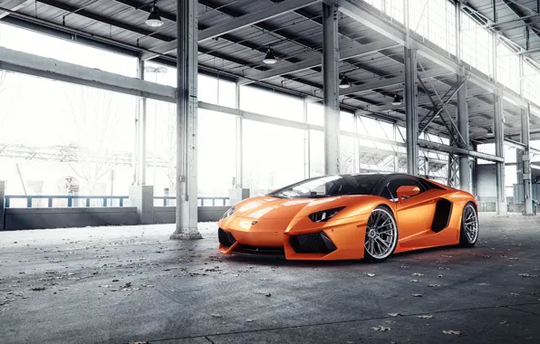 Картинка Lamborghini, Orange, Predator, Aventador, VAG, Sight