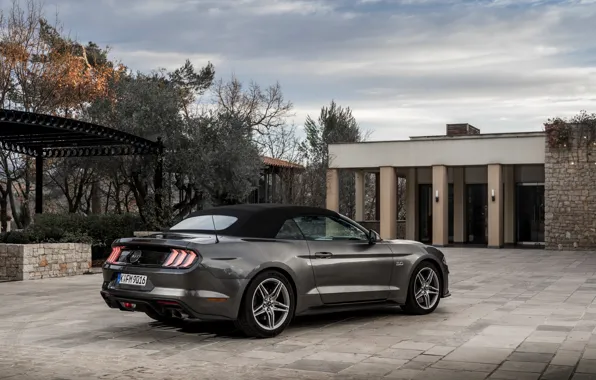 Картинка Ford, кабриолет, 2018, мягкий верх, тёмно-серый, Mustang GT 5.0 Convertible