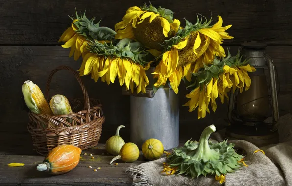 Картинка осень, подсолнухи, цветы, стиль, ретро, темный фон, стол, фон, доски, лампа, зерна, букет, кукуруза, желтые, …