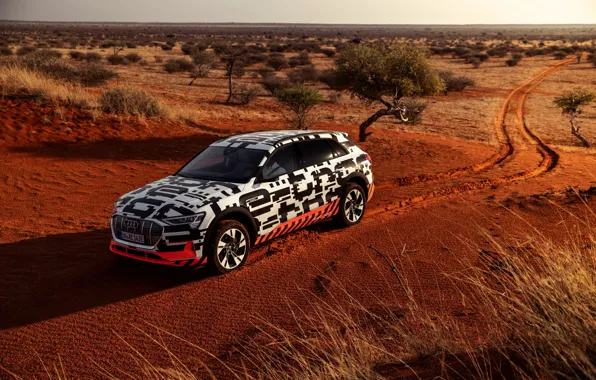 Картинка Audi, растительность, пустыня, 2018, E-Tron Prototype