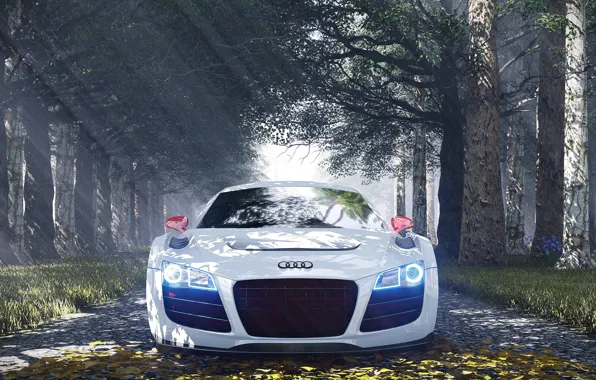 Картинка Audi, Audi R8, Special Edition