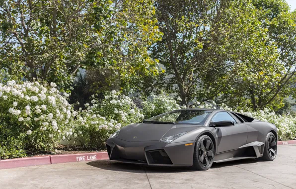 Картинка Lamborghini, Reventon, black, matte