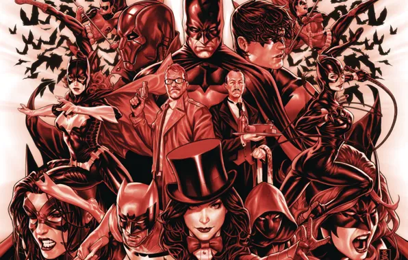 Обои Red, Batman, Robin, Catwoman, Batgirl, Zatanna, Detective Comics