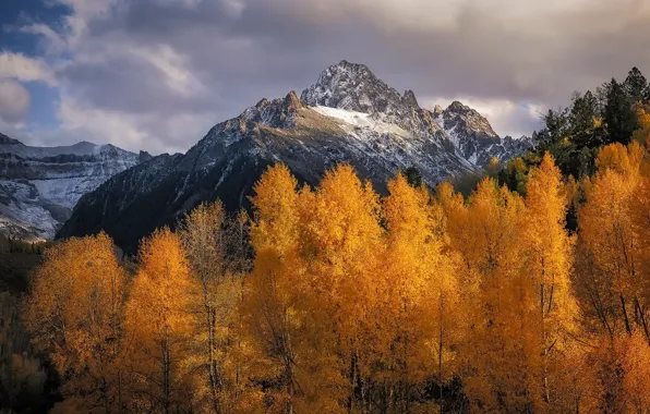 Картинка осень, лес, горы