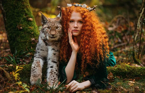 Картинка осень, девушка, природа, животное, хищник, рыжая, рысь, кудри, Александра Савенкова