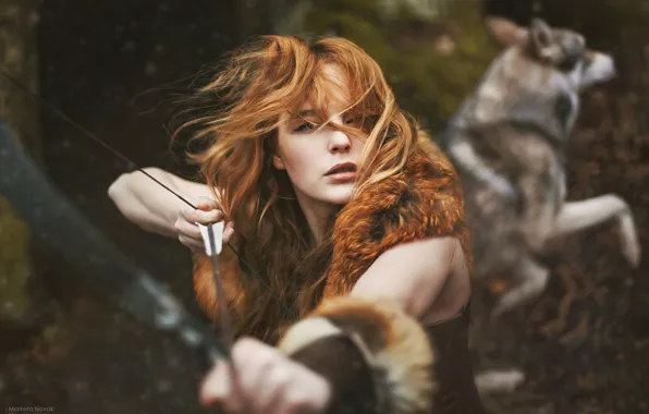 Картинка лес, волк, рыжая девушка