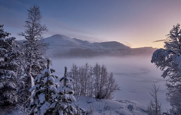 Картинка зима, снег, деревья, горы, озеро, Норвегия, Norway, Møre og Romsdal, Мёре-ог-Ромсдал, Nysætervatnet