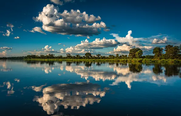 Картинка облака, деревья, отражение, река, Африка, Намибия, Namibia, Река Окаванго, Okavango River, Полоса Каприви, Caprivi Strip
