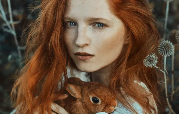 Картинка взгляд, девушка, лицо, волосы, портрет, кролик, веснушки, рыжая, рыжеволосая, Marketa Novak, Marie Hlávková