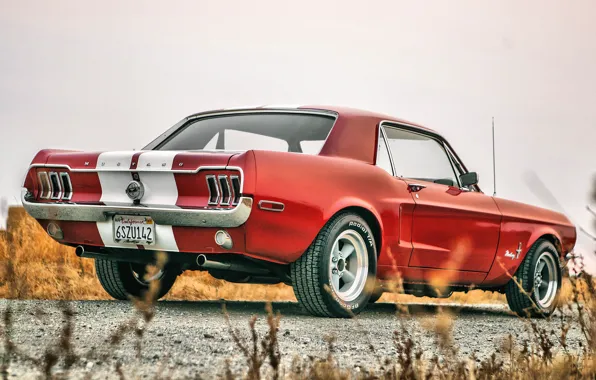 Картинка Mustang, Ford, Ford Mustang, 1967, Форд Мустанг, Muscle Car