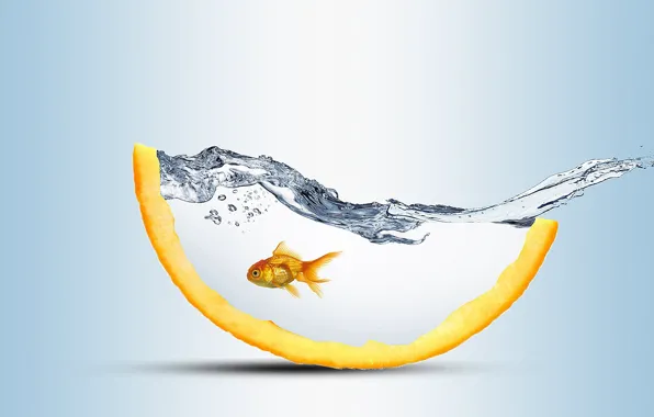 Картинка вода, всплеск, золотая рыбка, светлый фон, water, splash, goldfish, долька апельсина, orange slice, creative art, …