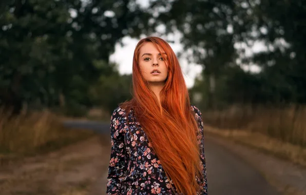 Картинка волосы, Девушка, Взгляд, рыжая, Martin Kühn, Katja